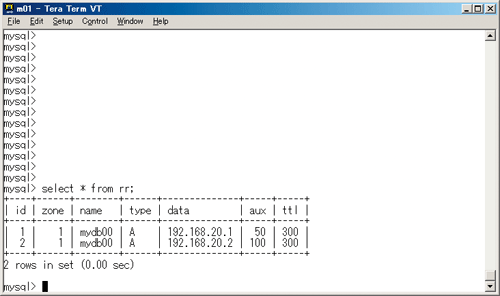 画面3：MyDNS rrテーブル設定例