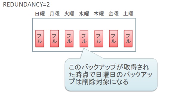 <図1いれる>:冗長性に基づく保存方針の例1
