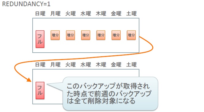 <図2いれる>:冗長性に基づく保存方針の例2
