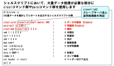シェルスクリプトの記述例