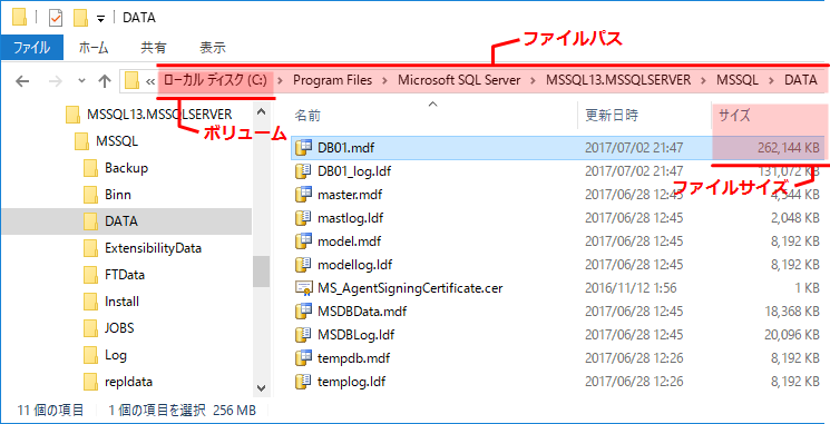 ファイル配置(ボリューム、ファイルパス)やファイルサイズはOSからも確認できます